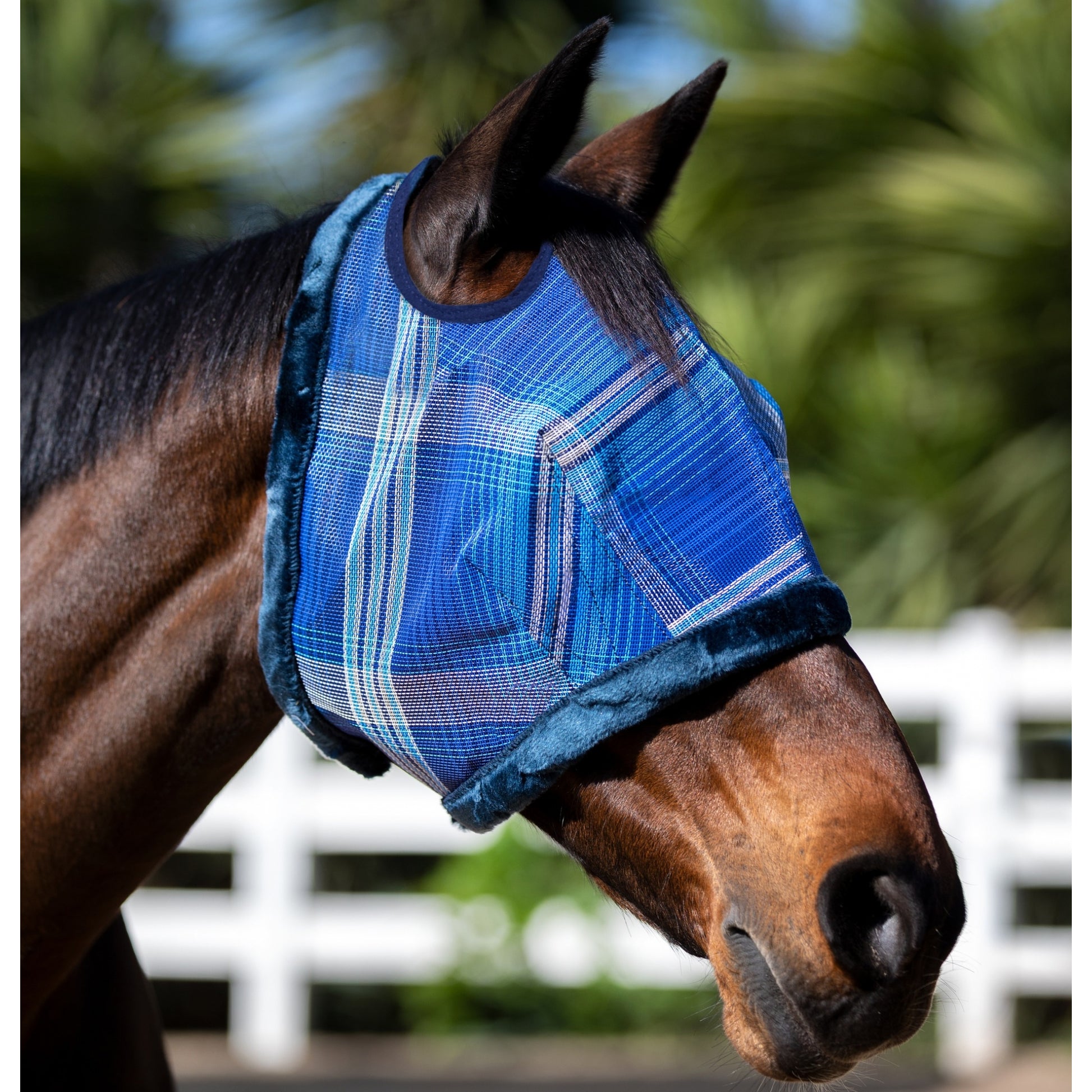 Kensington Draft UV Fleece Trim Fly Mask - Dual Ear & Forelock