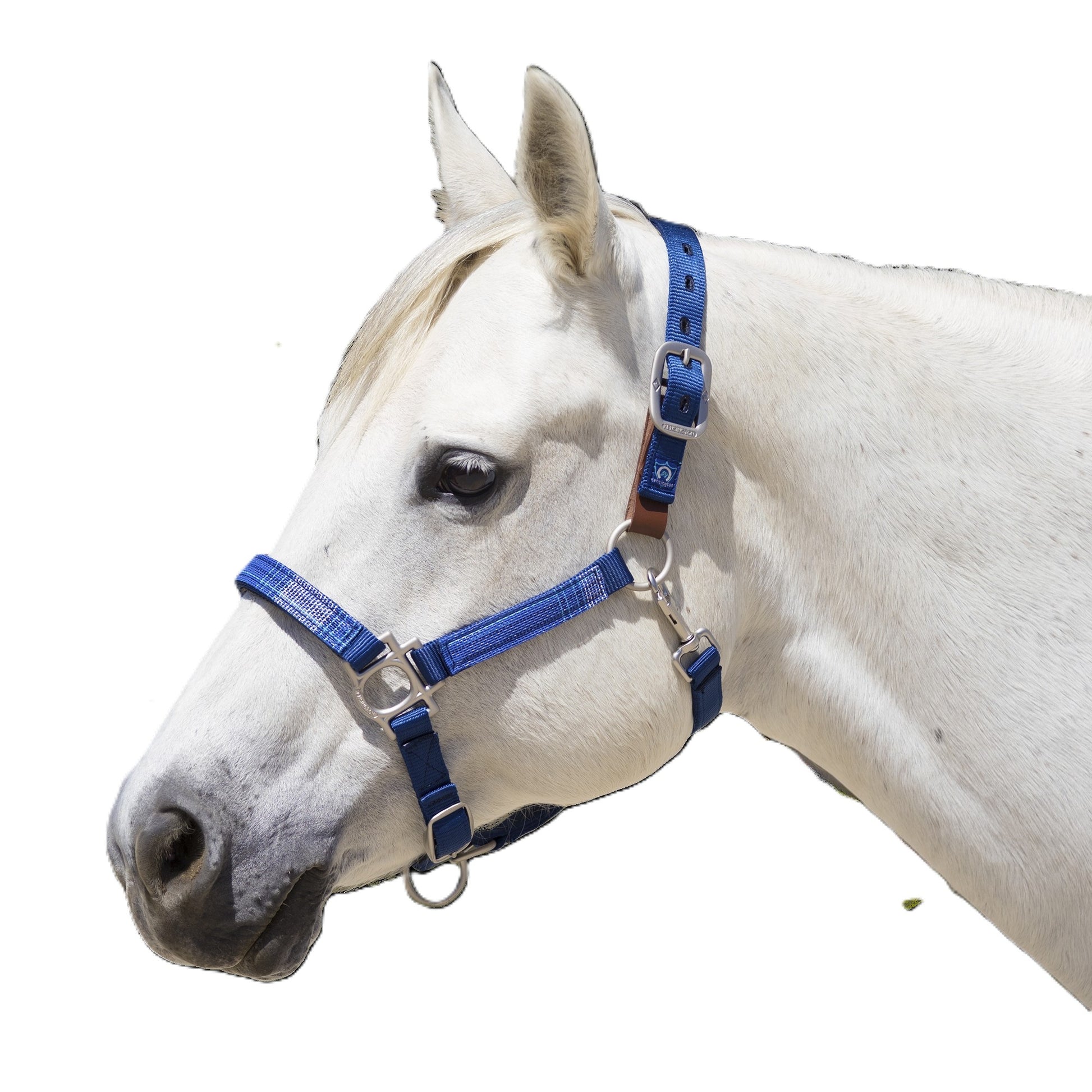 Kensington Breakaway Halter