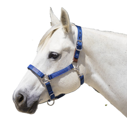 Kensington Breakaway Halter