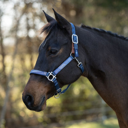 Kensington Breakaway Halter