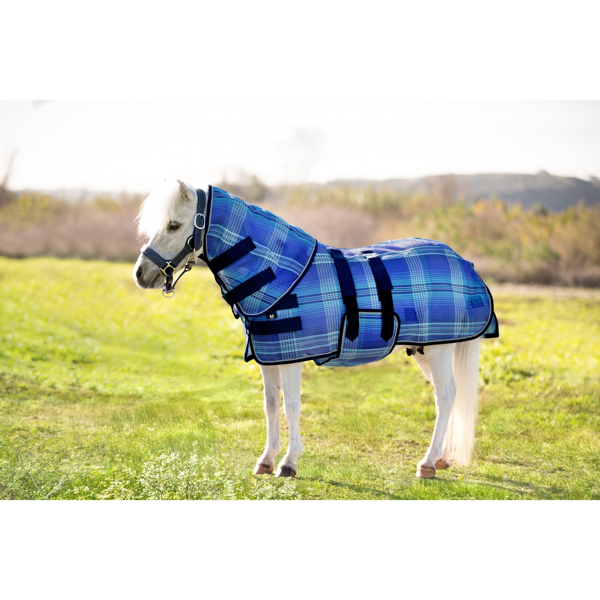 Kensington Protective Sheet Mini