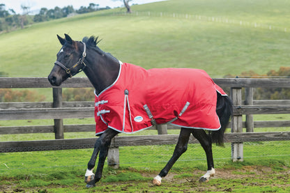 5-970174-red.jpg