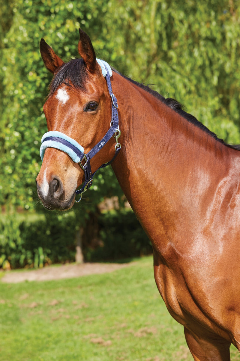 Saxon Element Fleece Headcollar