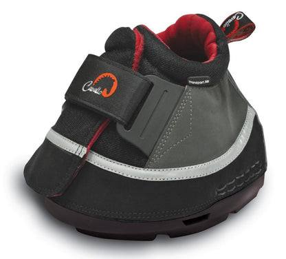 5-980080.jpg