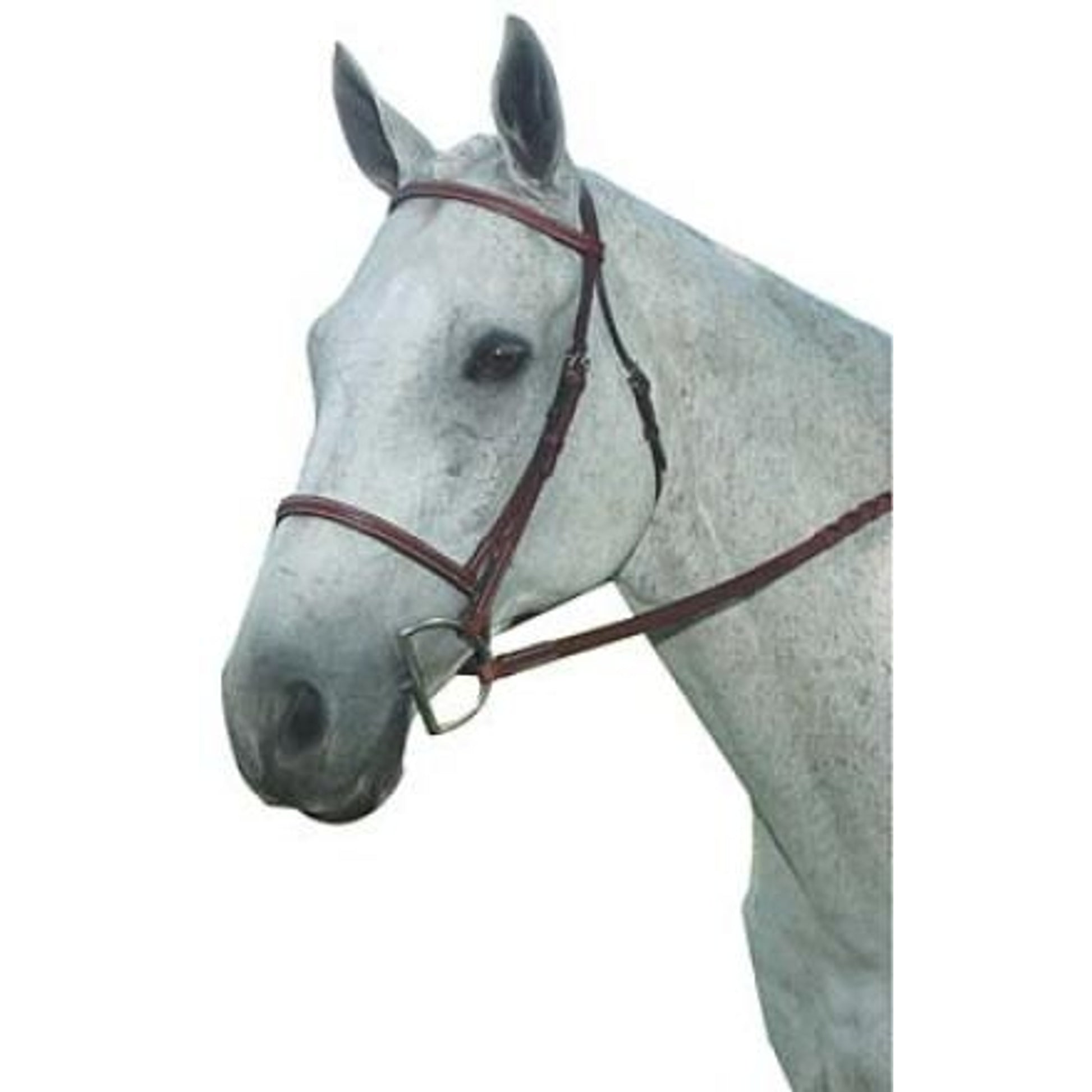 Kincade Plain Raised Bridle