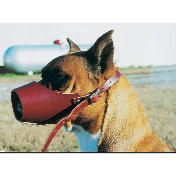 Dogs Muzzles