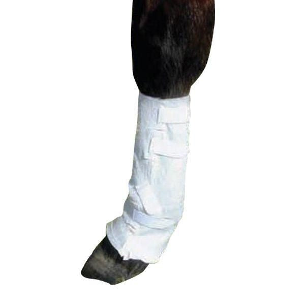 Tapeless Dressing System - Back Lower