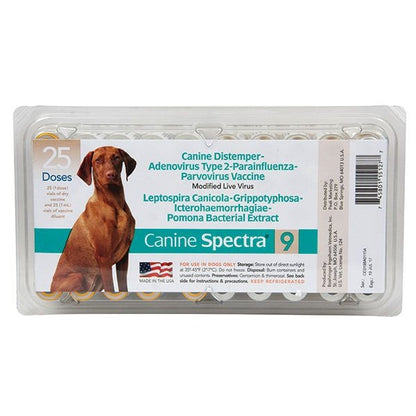 Canine Spectra 10 Single