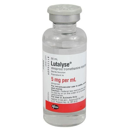 Lutalyse Injection