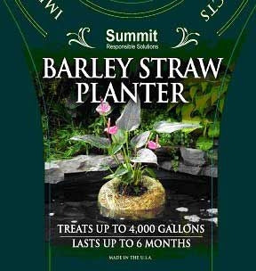 Summit Barley Straw Planter