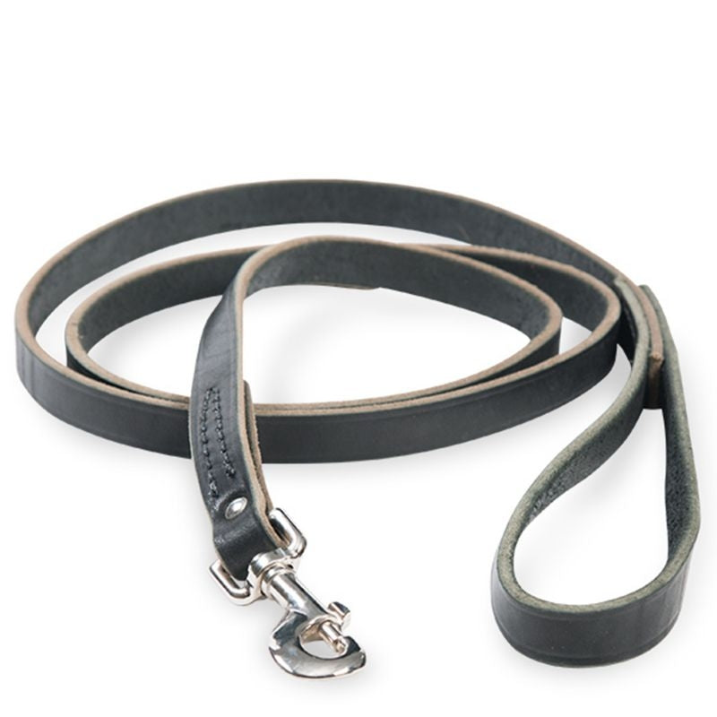 Senior Dog Collars, Leashes and Harnesses