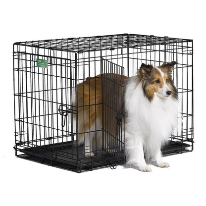 I-Crate For Dogs Double Door 18 In/Double Black
