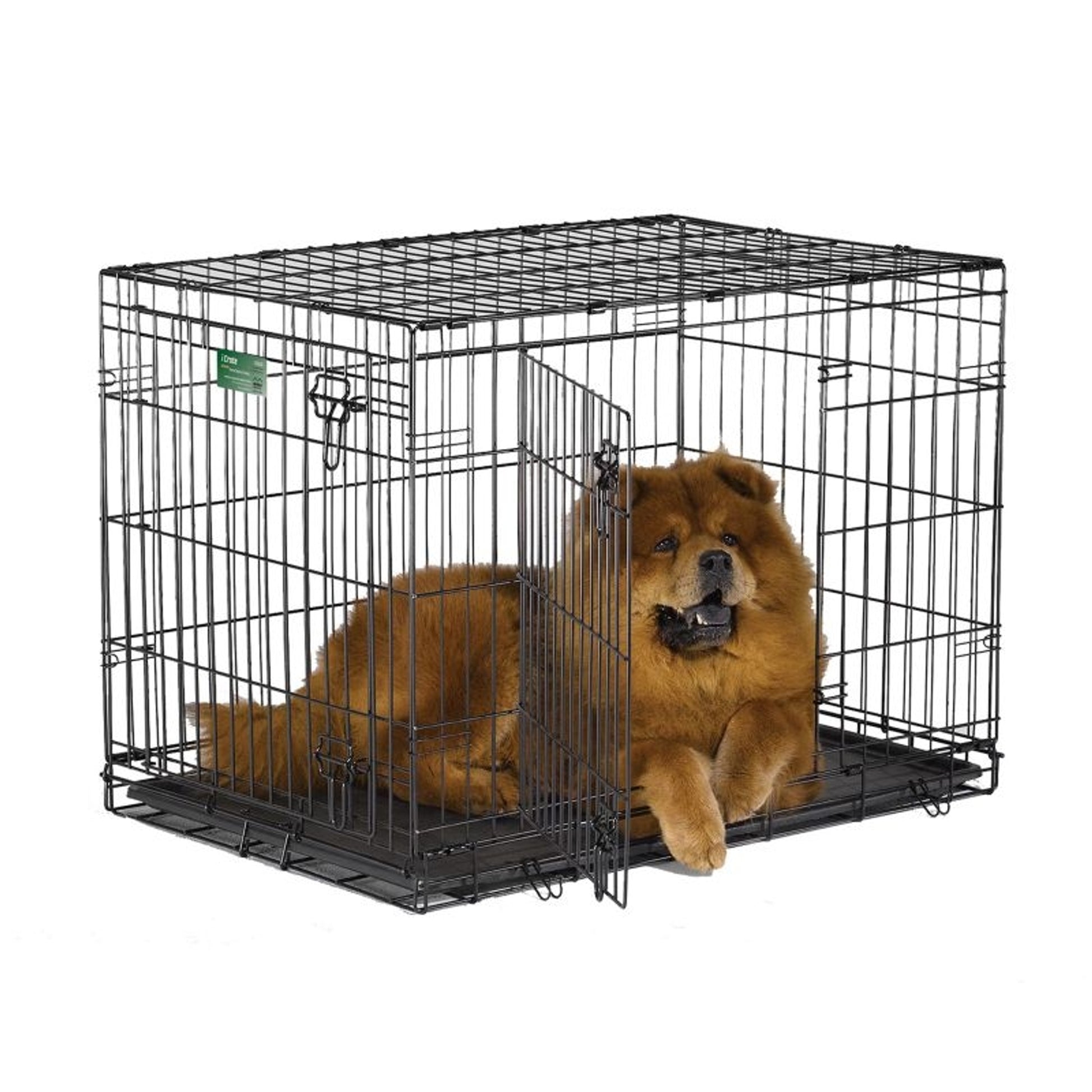 I-Crate For Dogs Double Door 18 In/Double Black