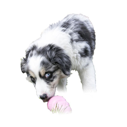 Puppy KONG Rubber Toy