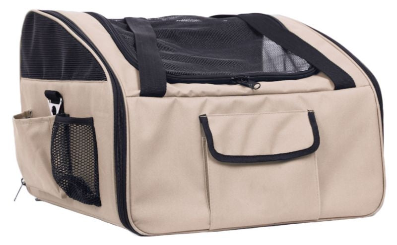 Senior Dog Travel and Outdoor