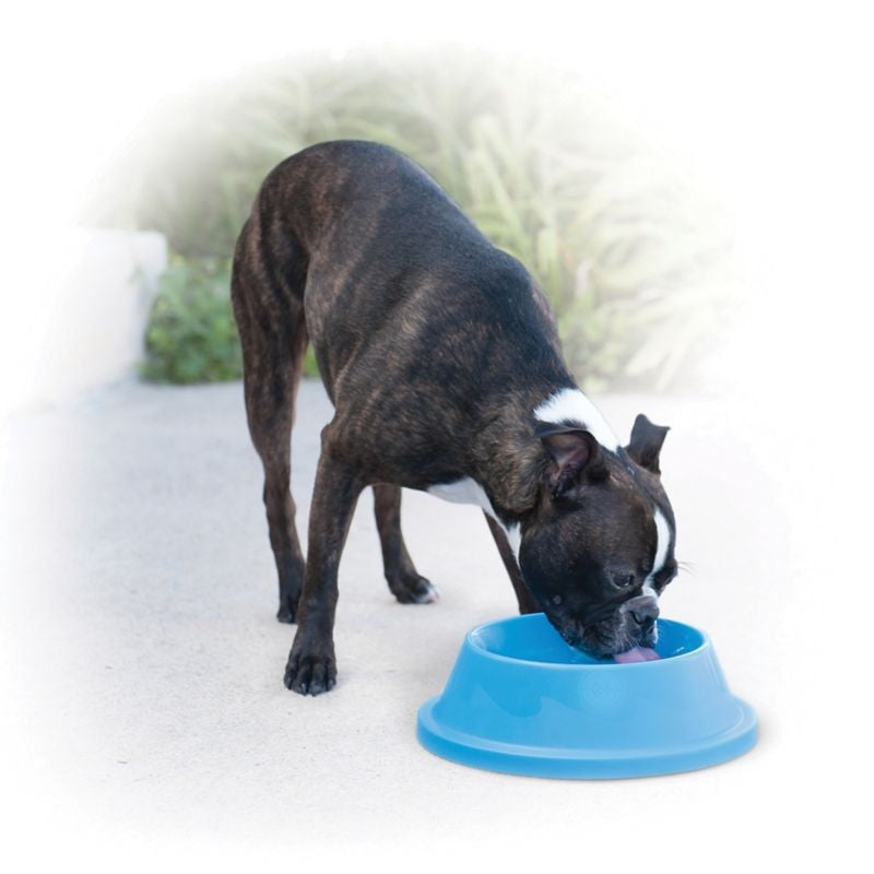 KH Mfg Coolin Pet Bowl