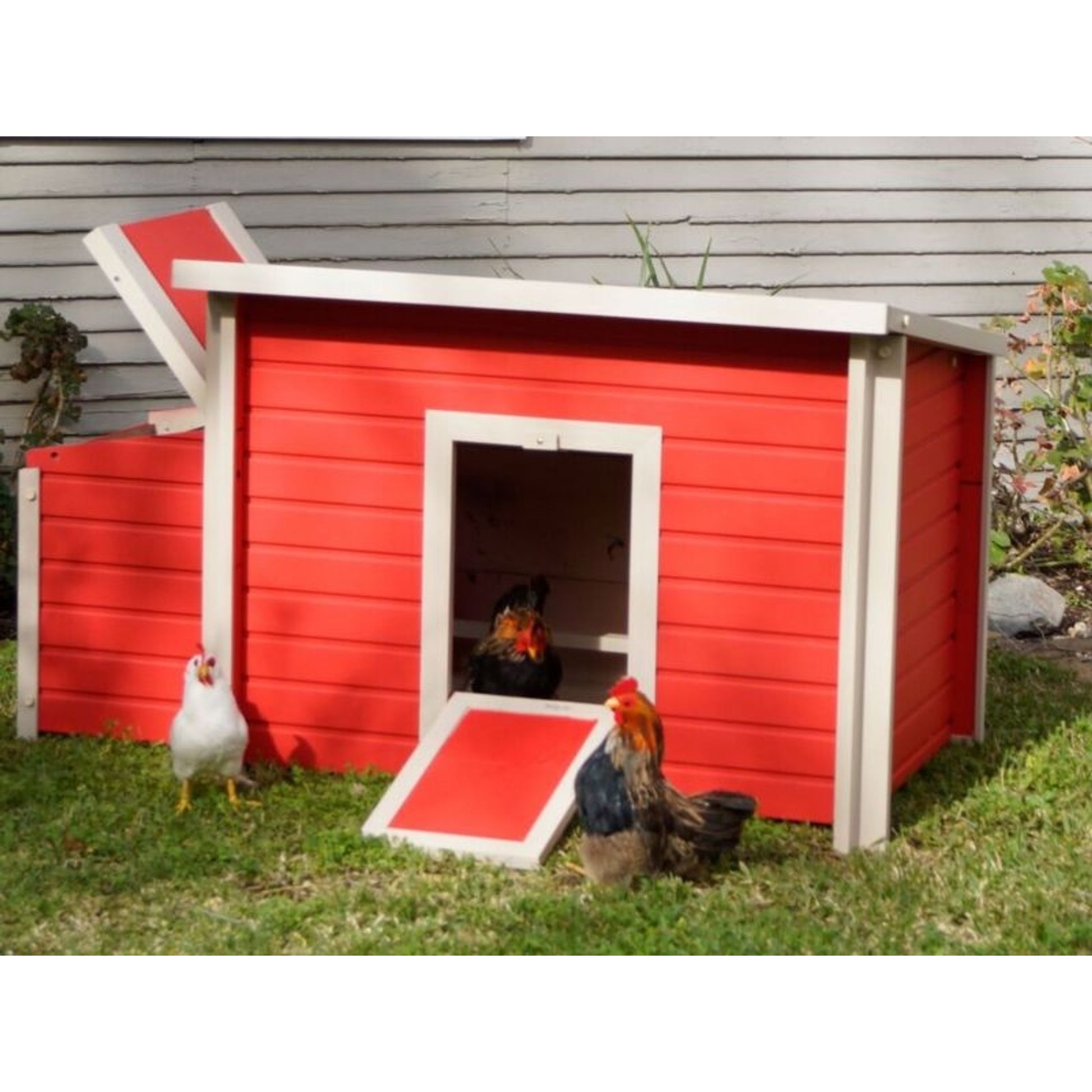 New Age Pet Fontana Chicken Barn