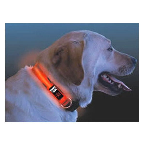 Nite Ize Nite Dawg LED Dog Collar