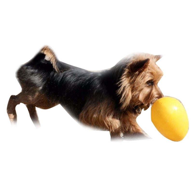 Dog Chew Toys