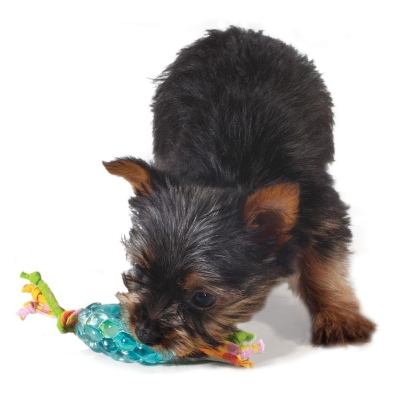 PetStages Mini Orka Pine Cone Dog Toy
