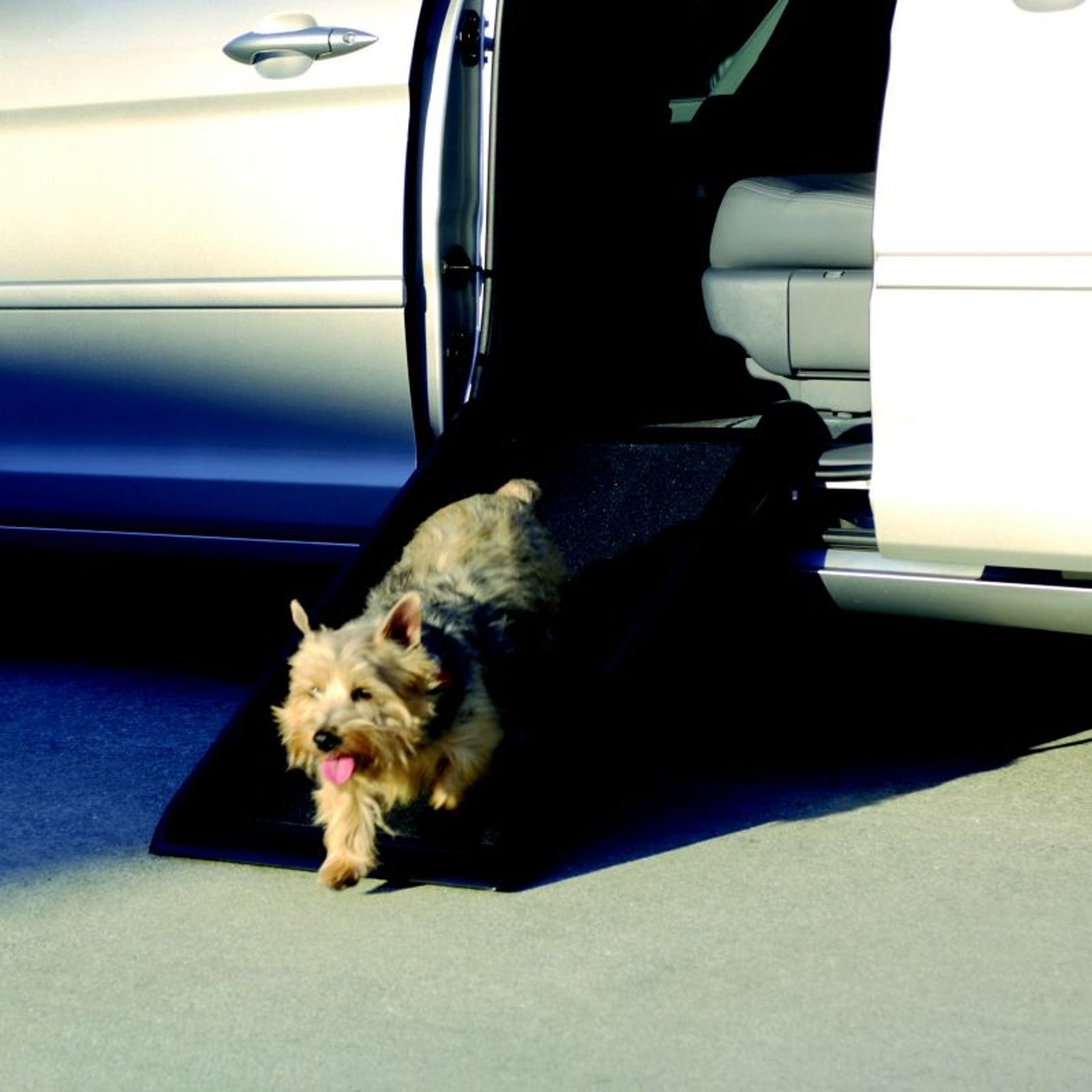 Mr Herzher Smart Dog Ramp