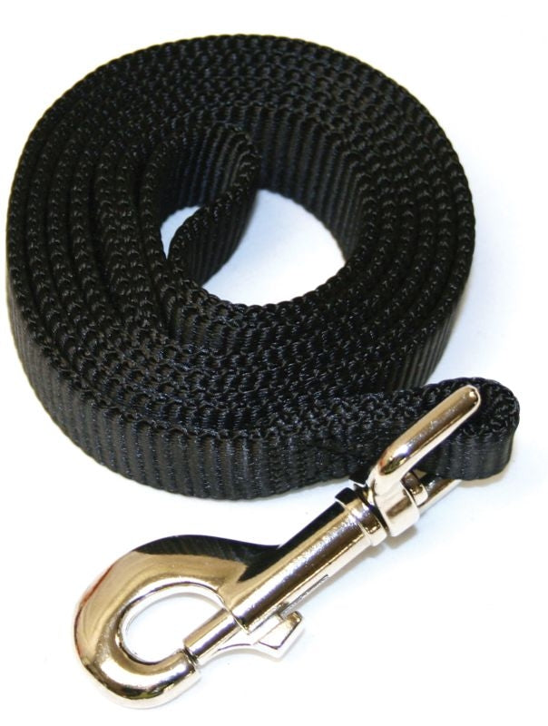Dog Leashes and Leads