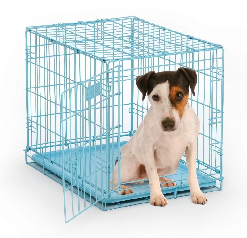 Midwest Color iCrate Folding Dog Crate