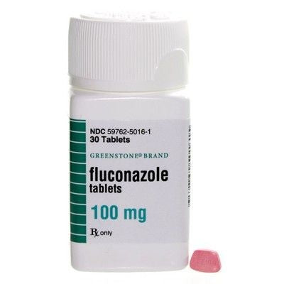 Dog Antibiotics