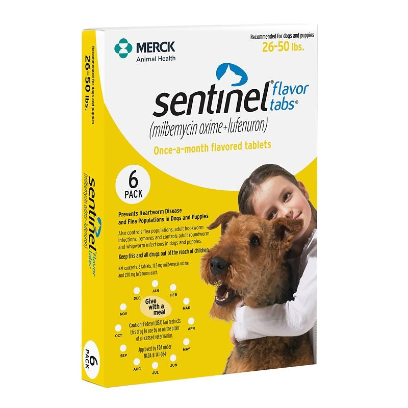 Other Dog Medications