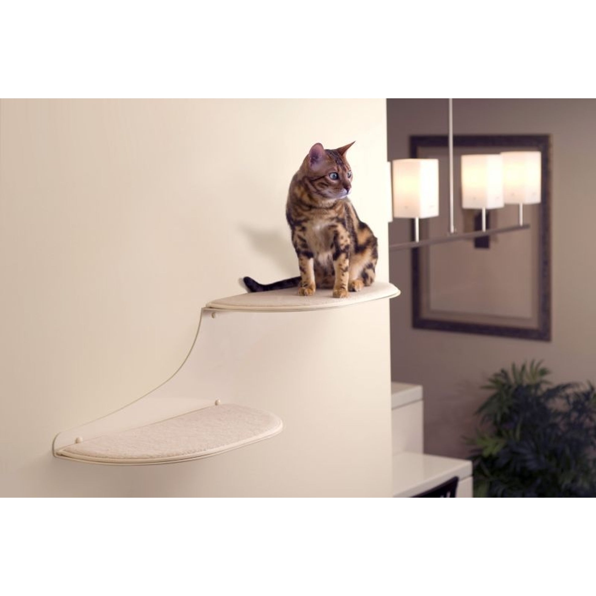 Refined Feline Cat Clouds Cat Shelf