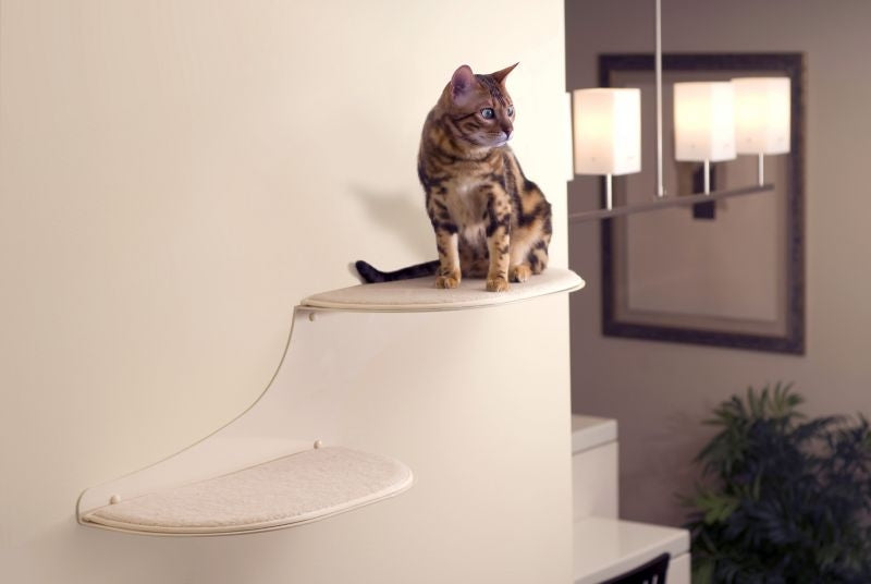 Refined Feline Cat Clouds Cat Shelf