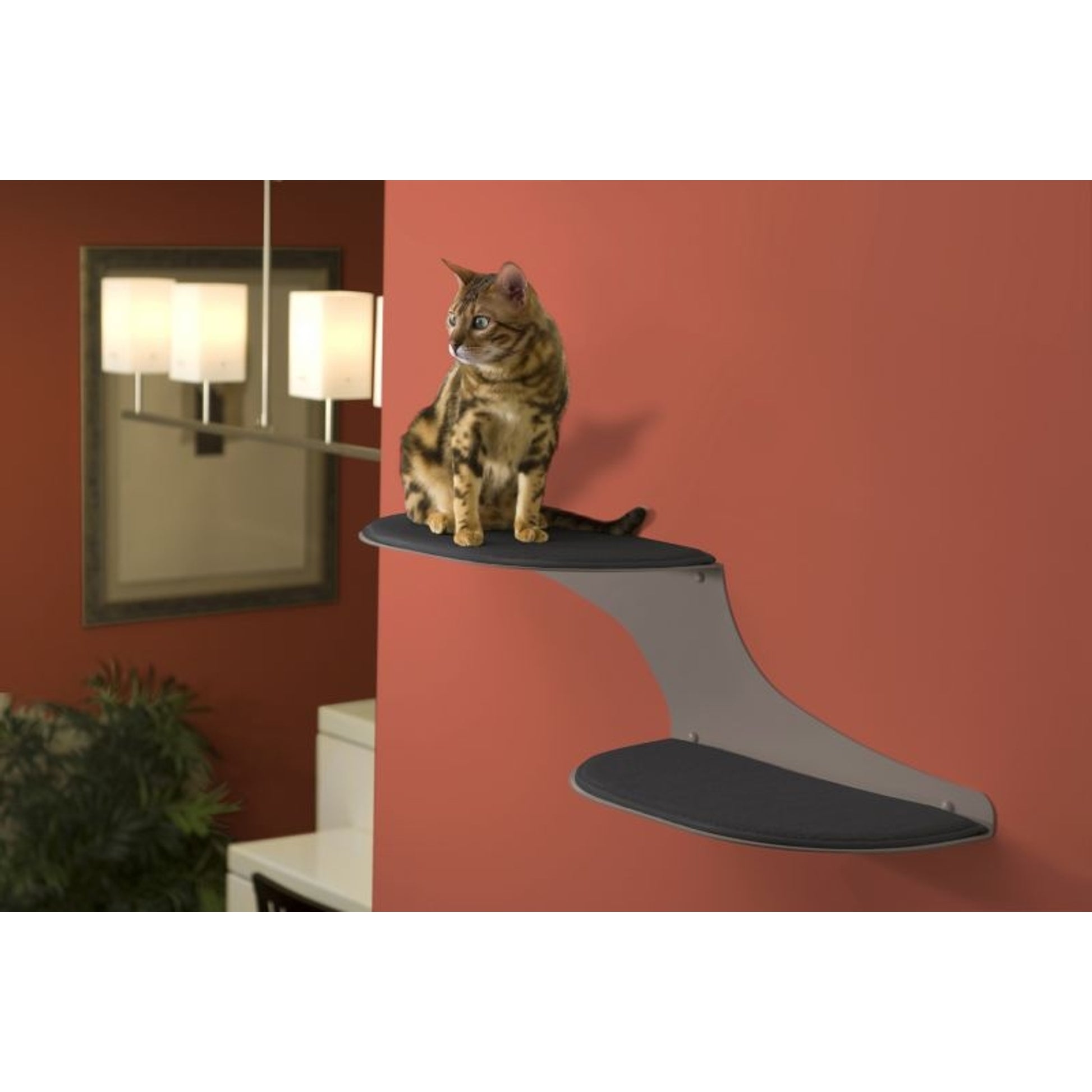Refined Feline Cat Clouds Cat Shelf
