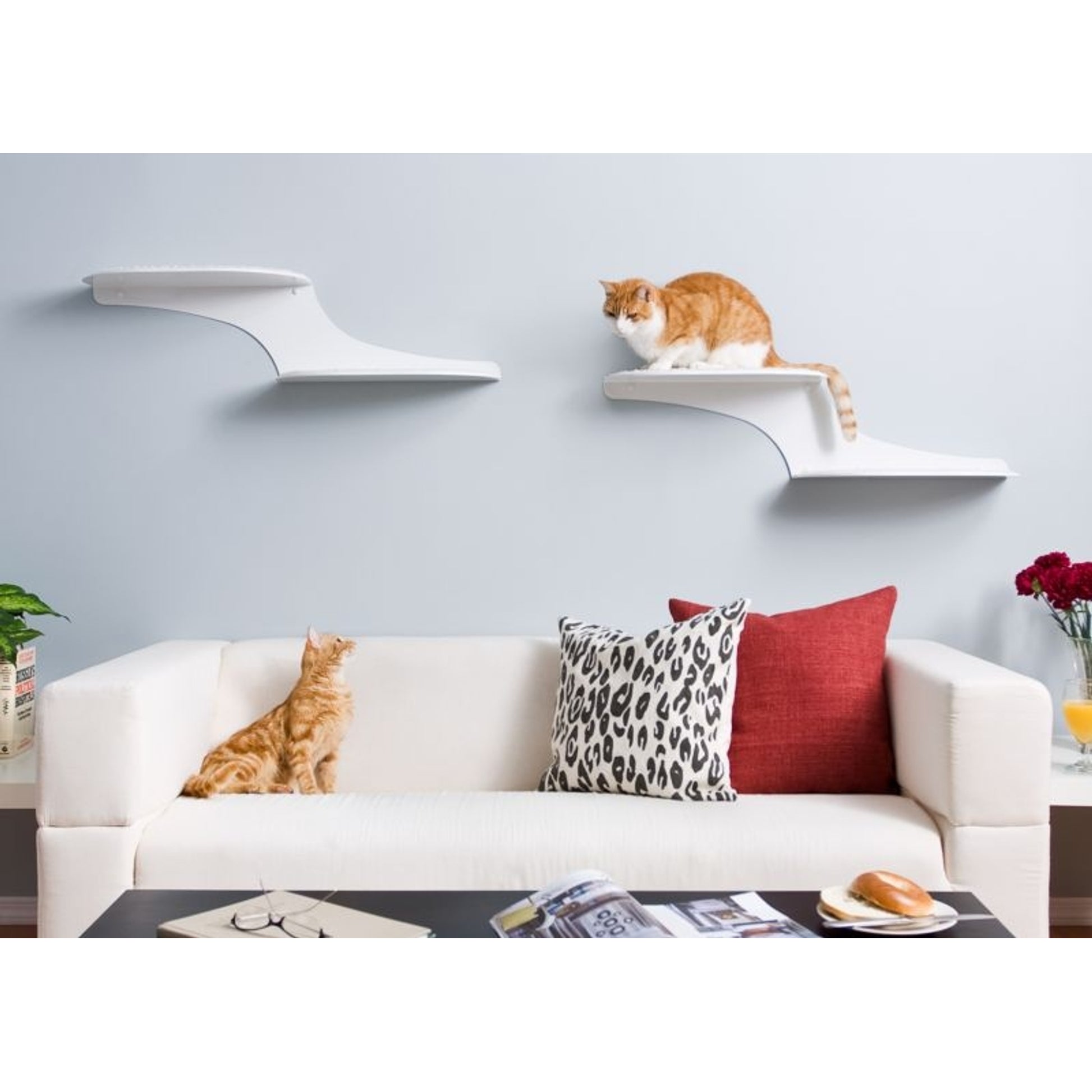 Refined Feline Cat Clouds Cat Shelf