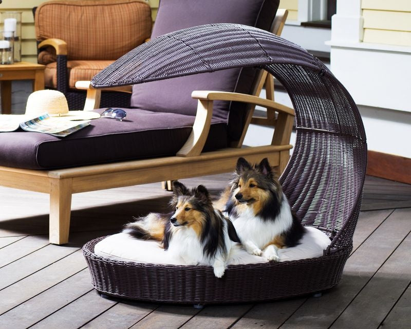 Refined Canine Indoor Outdoor Dog Chaise Lounger
