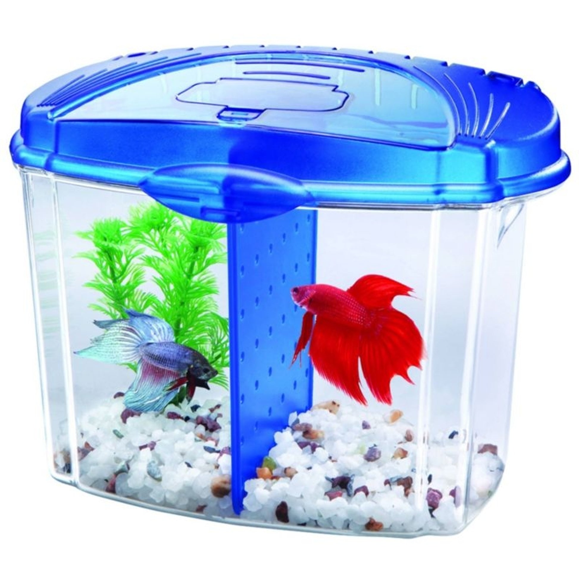 Aqueon 1/2 Gallon Betta Bowl Starter Kit