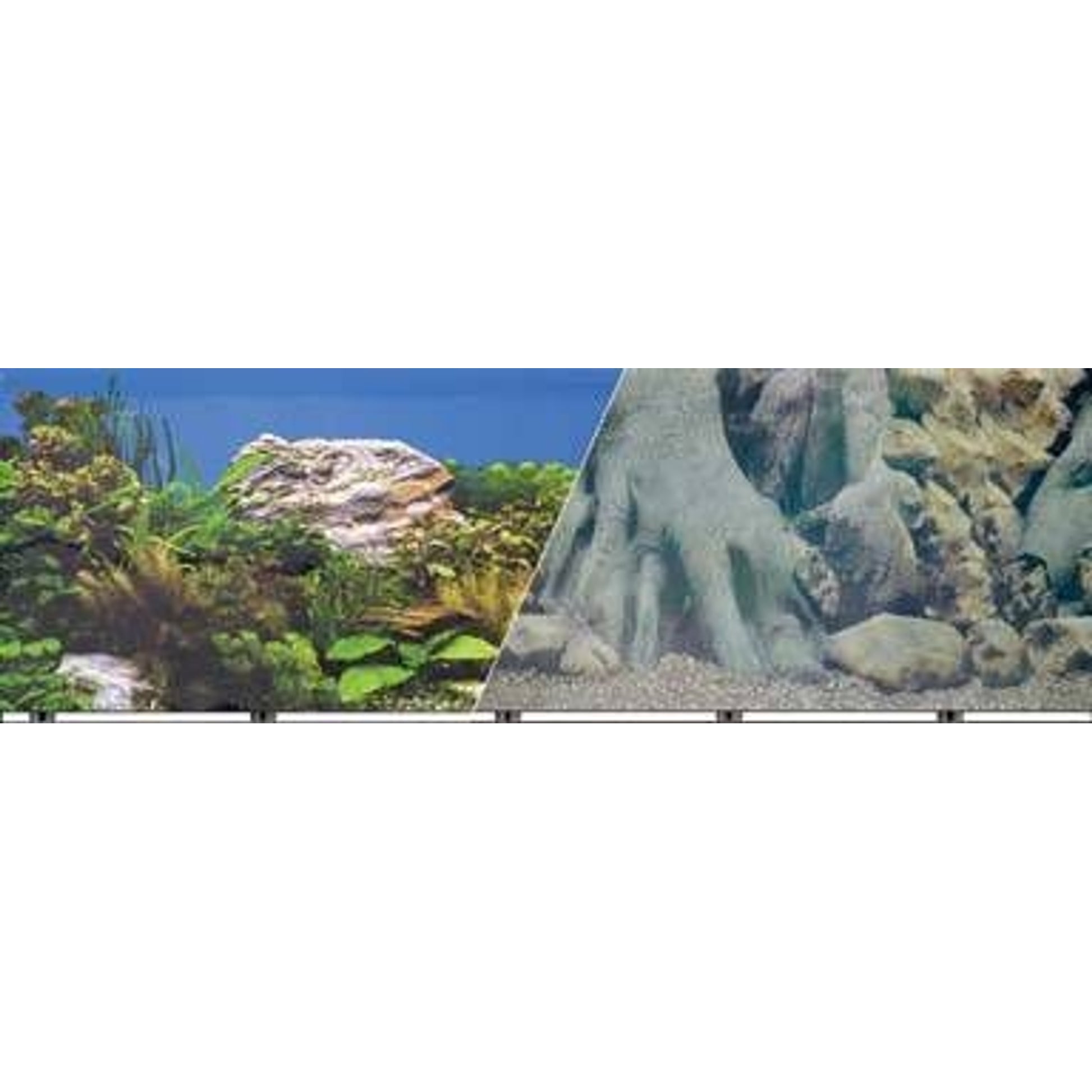 Blue Ribbon White Rock Aquarium Background