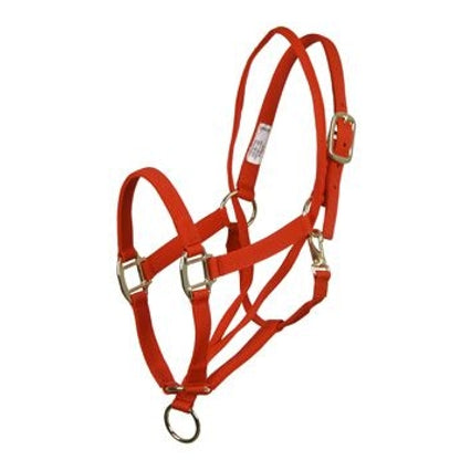 Basic Pull Back Training Halter