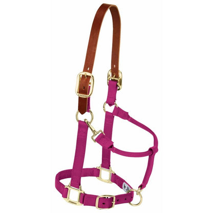 Weaver Org Breakaway Adj Halter