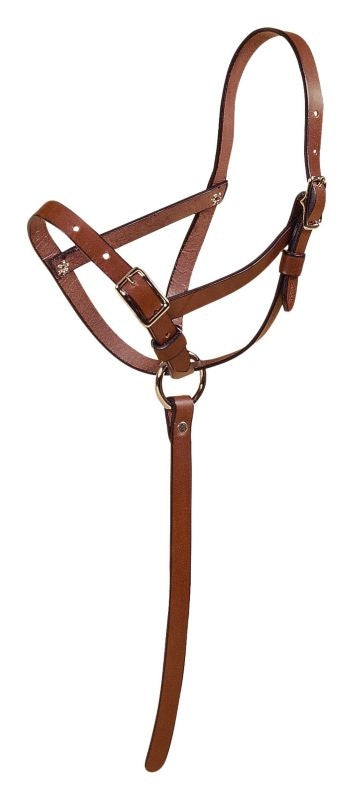Tory Foal Slip Halter with Grab Strap