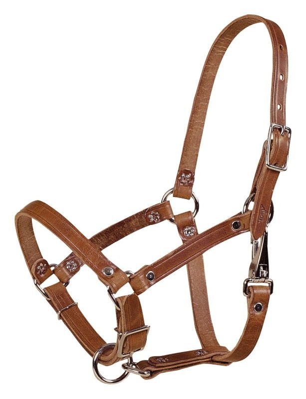 Tory Safety Rivet Foal Leather Halter with Snap