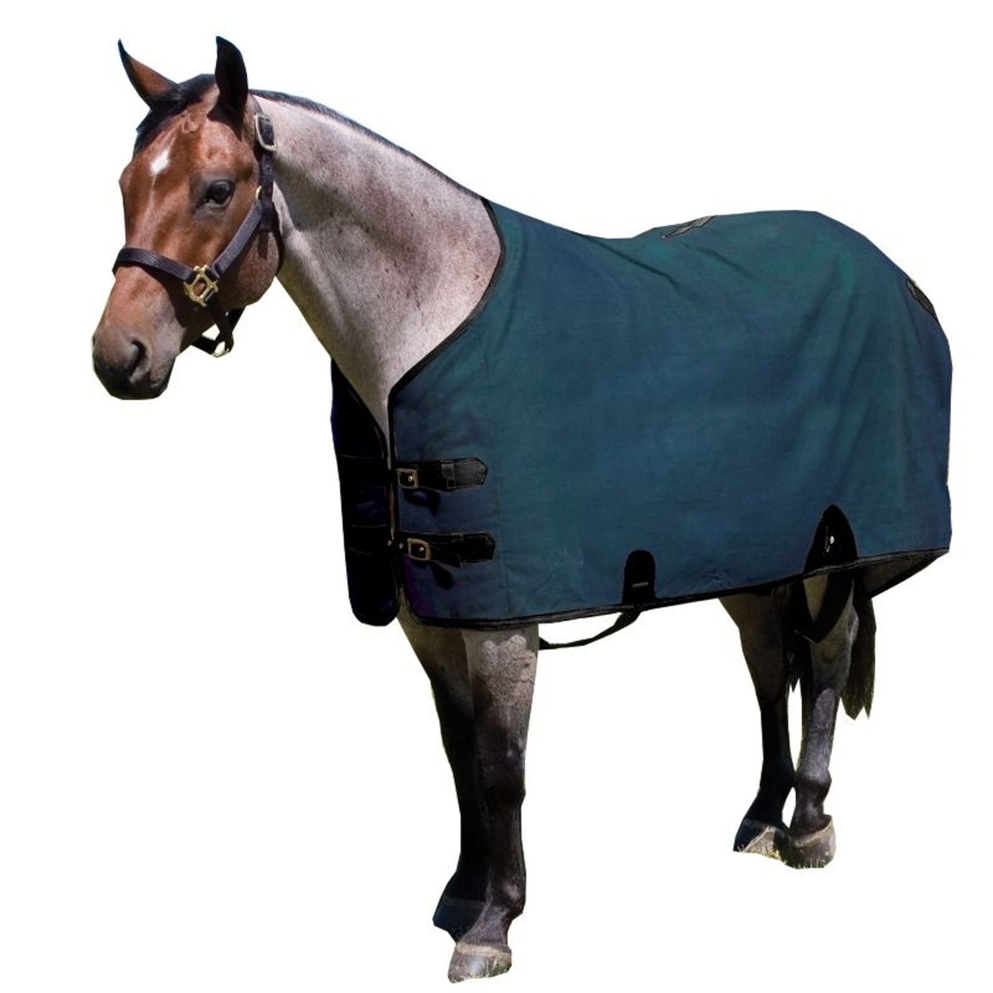 Mustang Canvas Turnout Blanket