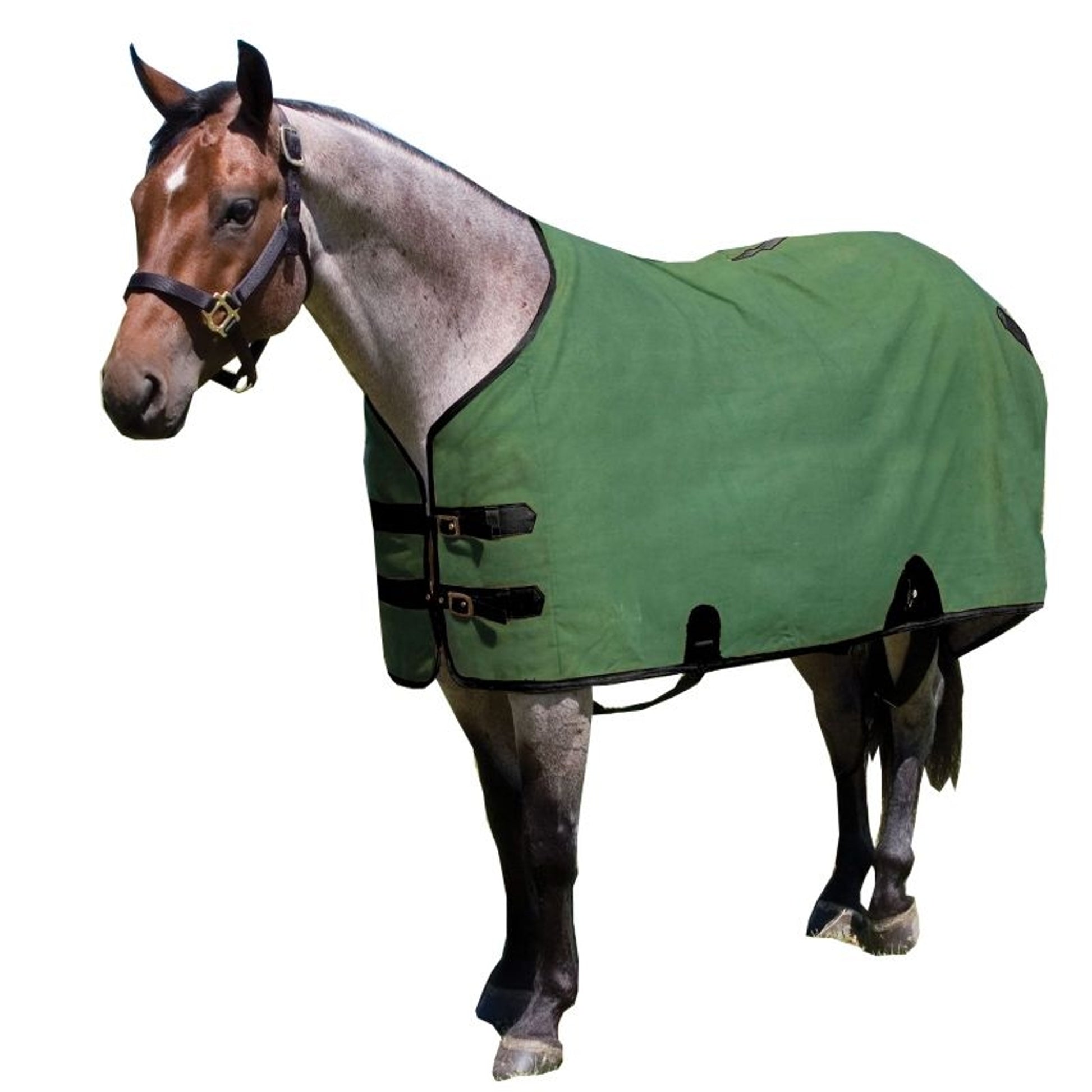Mustang Canvas Turnout Blanket