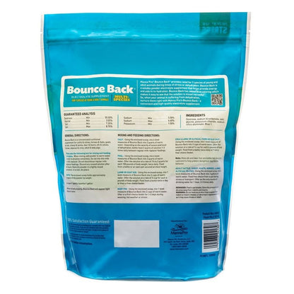 Manna Pro Bounce Back Electrolyte