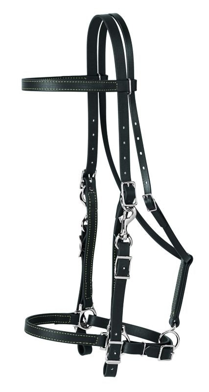 Weaver Brahma Synthetic Halter Bridle