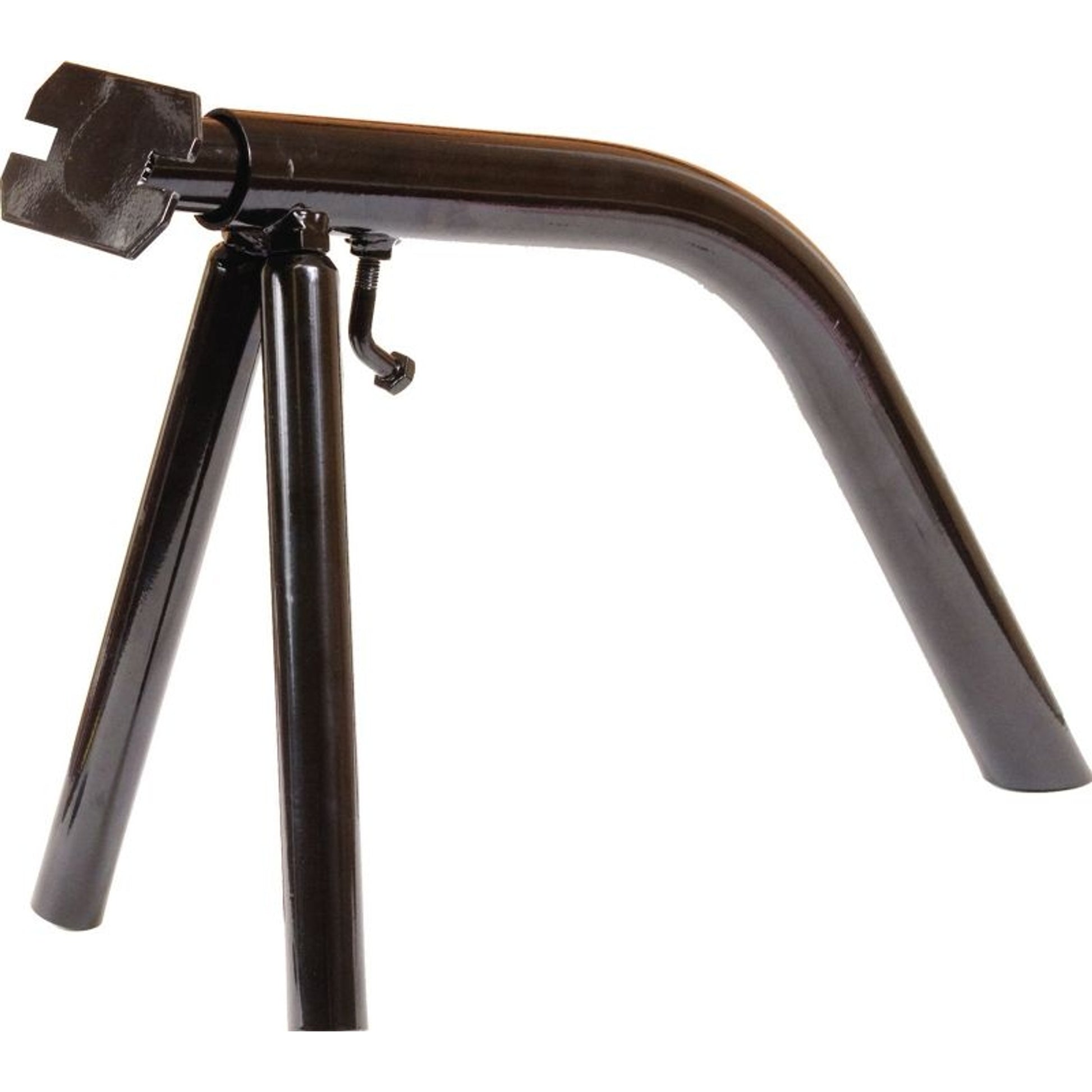 Mustang Large Steer Head Stand