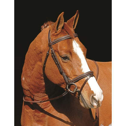 Henri De Rivel Monocrown Event Bridle