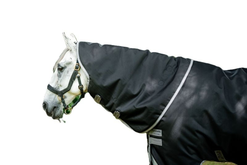 Amigo Bravo 12 Org Hood 150g