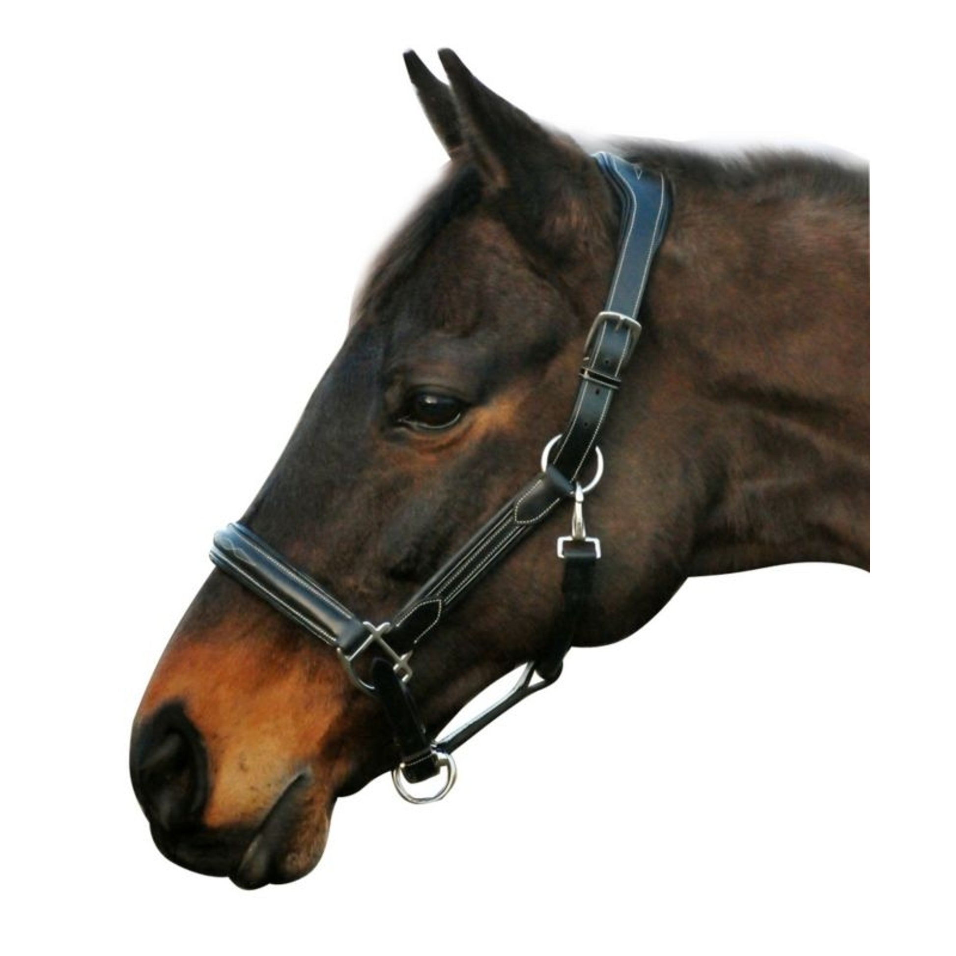 HDR Stress Free Fancy Stitch Halter