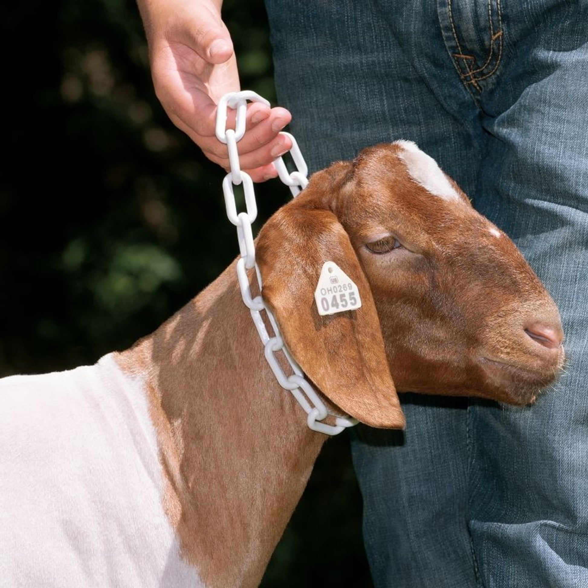 Weaver Plastic Goat Chains
