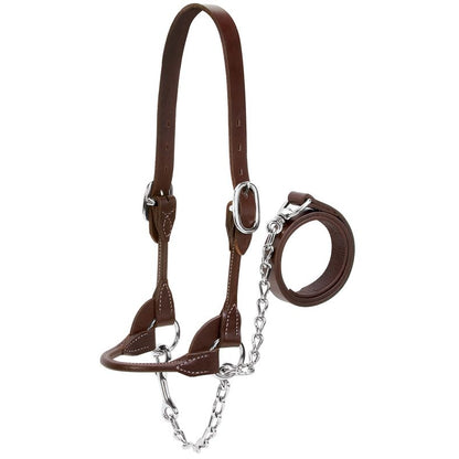 Dairy Beef Rounded Show Halter